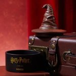 Harry Potter Sorting Hat Organizer